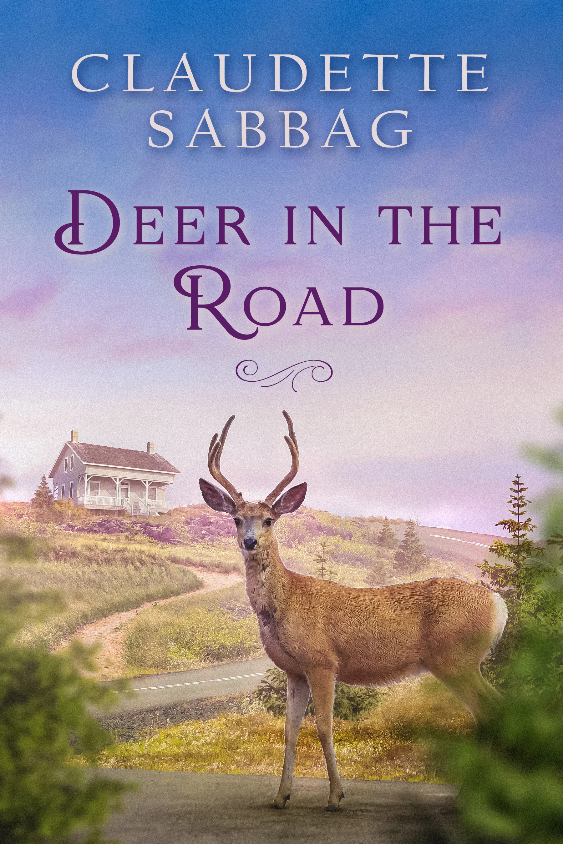 Deer in the Road — a novel by Claudette Sabbag
